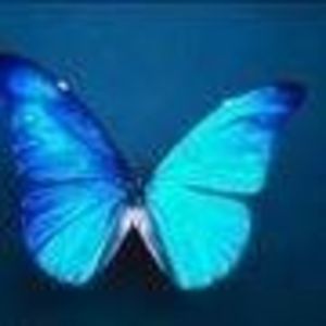 Meet your Posher, Maureen